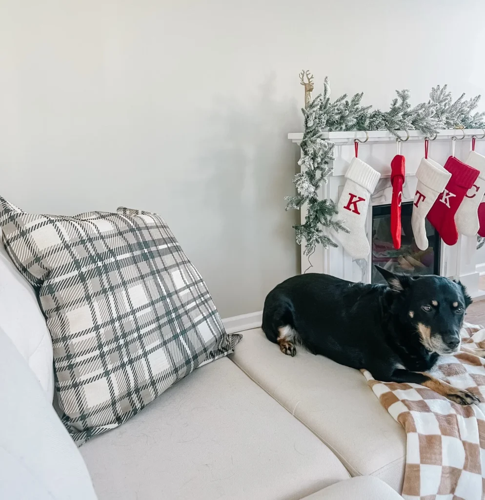 Plaid Pillow Covers